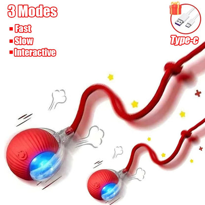Interactive Cat Toy Ball Super Drive Cat Rolling Ball