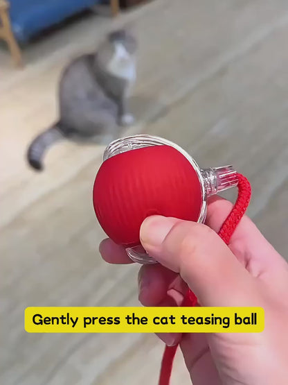 Interactive Cat Toy Ball Super Drive Cat Rolling Ball